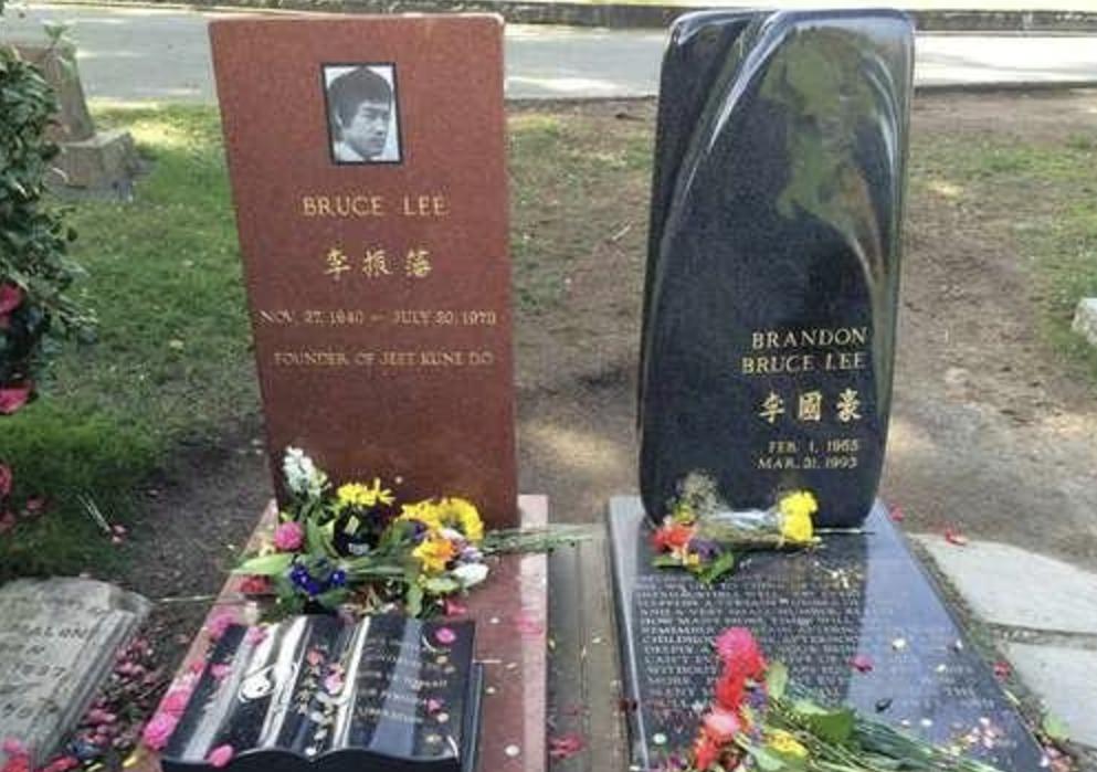 最新死亡明星，緬懷與紀(jì)念，最新死亡明星，緬懷與紀(jì)念的星光時(shí)刻