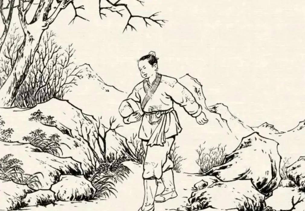 徐翠翠個人資料及老公，深度解析，徐翠翠個人背景及老公深度揭秘