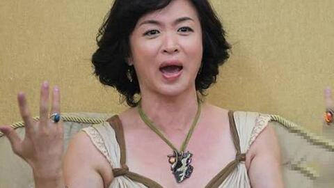靳東第一任老婆周揚，愛情與生活的美好交織，靳東第一任妻子周揚，愛情與生活的美好交融