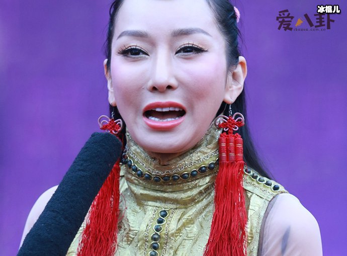薩頂頂個(gè)人資料簡介，民族之光的璀璨明珠，薩頂頂，民族之光璀璨明珠的傳奇人生簡介