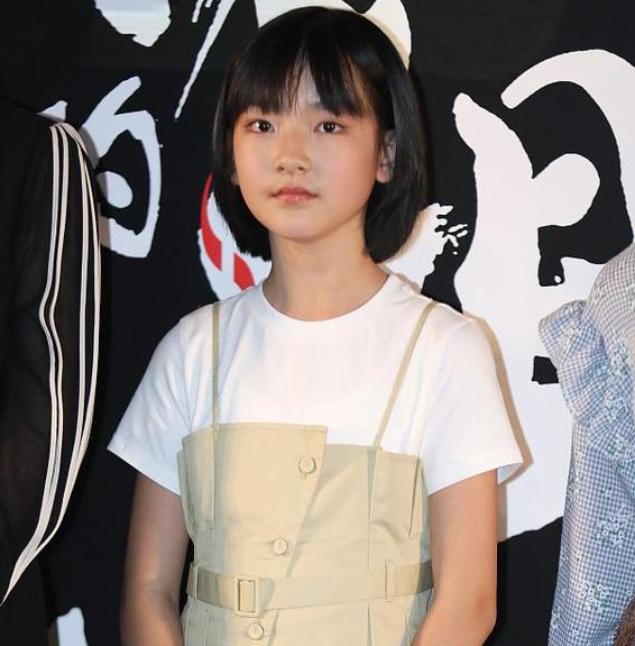 耀眼明星生涯與魅力深度解析