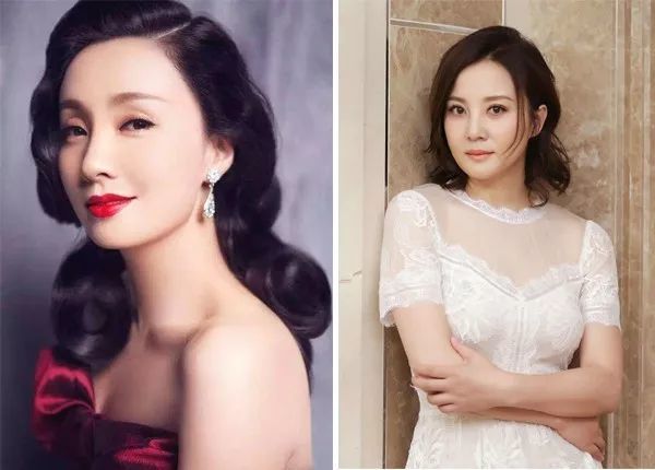 陶紅個(gè)人資料與陶虹，演藝界的璀璨明星，陶紅與陶虹，演藝界的雙重星光閃耀