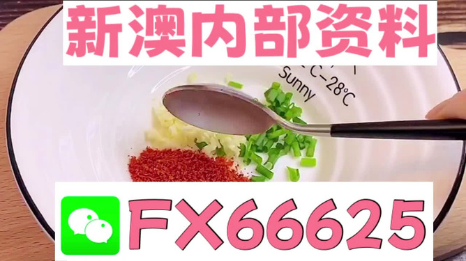 新澳正版資料免費提供，全面解析與深度探索，新澳正版資料全面解析與深度探索，免費提供的指南