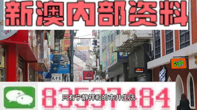 新門(mén)內(nèi)部資料精準(zhǔn)大全，深度解析與探索，新門(mén)內(nèi)部資料深度解析與探索秘籍大全