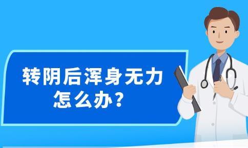新澳精準(zhǔn)資料免費(fèi)提供網(wǎng)站一覽，新澳精準(zhǔn)資料免費(fèi)分享網(wǎng)站概覽