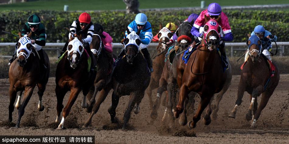 2019年王中王一肖中