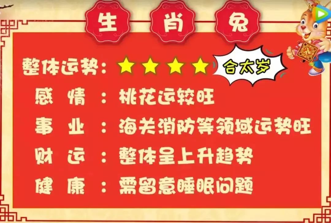 二肖二碼，深度解析與SEO優(yōu)化策略，二肖二碼深度解析與SEO優(yōu)化策略探討