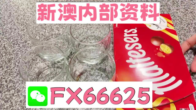 澳門49圖正版資料，探索與解析，澳門49圖正版資料深度解析與探索