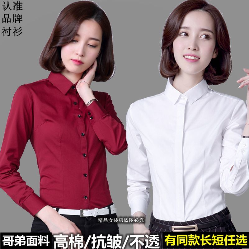 揭秘2019王中王平特一肖，生肖運勢與成功秘訣，揭秘生肖運勢與成功秘訣，聚焦王中王平特一肖的獨特魅力與運勢解析（2019版）