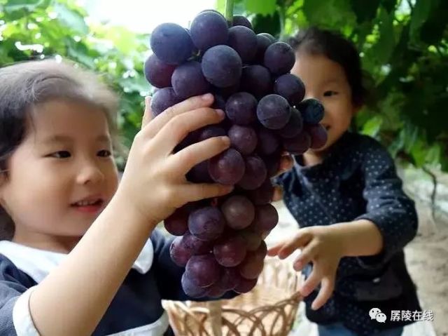 故事與奧秘探索