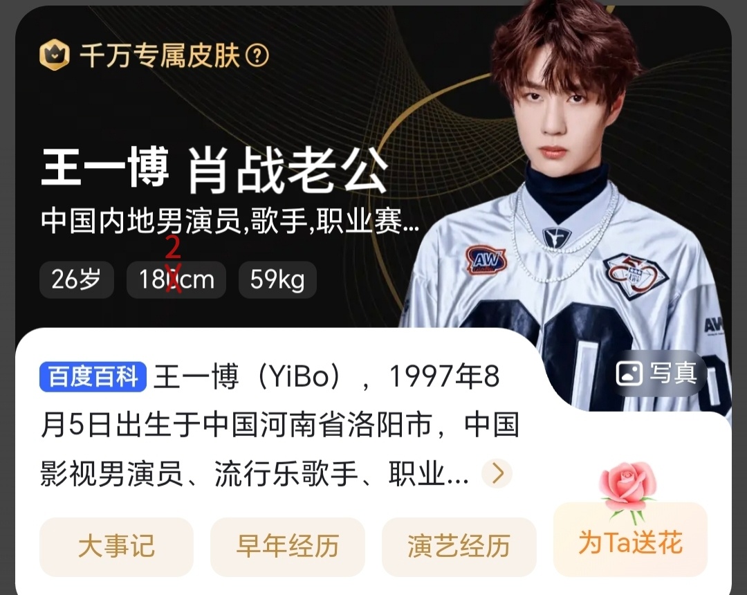 王中王一肖資料中特，深度解析與SEO優(yōu)化文章，王中王一肖資料深度解析與SEO優(yōu)化策略探討
