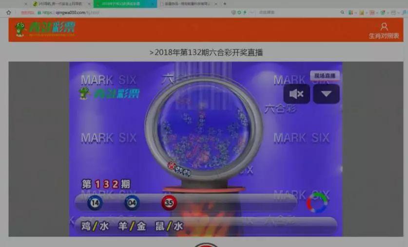 2025六開(kāi)彩天天免費(fèi)資料大全——全面解析與實(shí)用指南，2025六開(kāi)彩天天免費(fèi)資料大全，全面解析與實(shí)用指南手冊(cè)