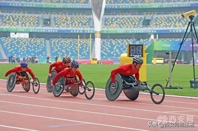 探索澳門未來，2025新澳門正版免費(fèi)資本車展望，澳門未來展望，2025資本車正版免費(fèi)探索之旅