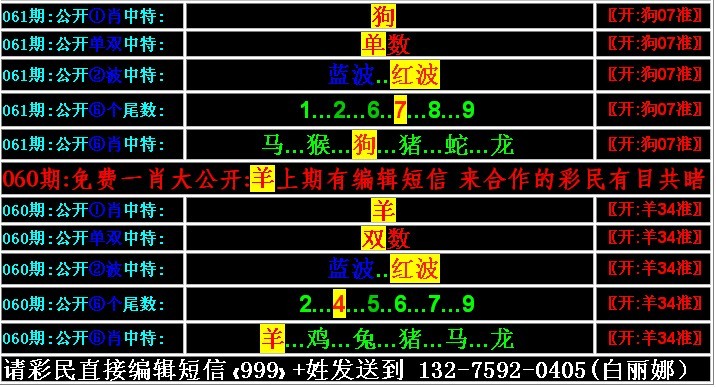 簡單一肖公式