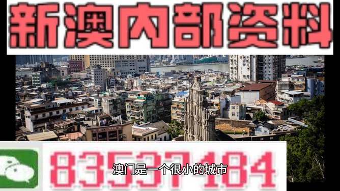 新澳門精準(zhǔn)四肖期準(zhǔn)，探索與解析，澳門精準(zhǔn)四肖期準(zhǔn)解析探索