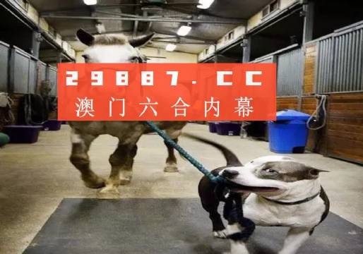 新奧門一肖一馬必中——揭秘彩票背后的秘密與策略，揭秘彩票背后的秘密與策略，新奧門一肖一馬必中技巧探究