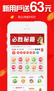 王中王指一生肖281期，深度解析與預測，王中王指一生肖281期深度解析與預測報告