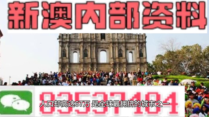 澳門(mén)正版資料大全，免費(fèi)更新與深度探索，澳門(mén)正版資料大全，免費(fèi)更新與深度探索指南