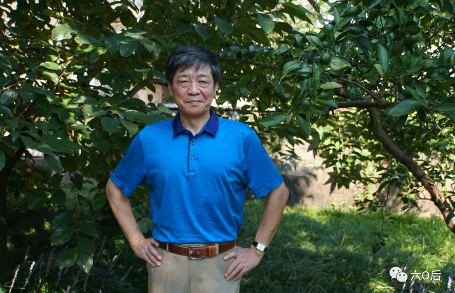 揭秘劉伯溫傳奇，一肖中待的秘密，劉伯溫傳奇揭秘，一肖中待的神秘奧秘
