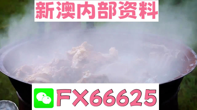 新澳全年免費資料大全——探索與學(xué)習(xí)資源的寶庫，新澳全年免費資料大全，探索與學(xué)習(xí)資源的終極寶庫