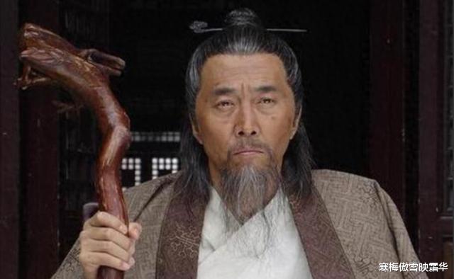 劉伯溫代表一肖還是二肖？——歷史與文化的深度解讀，劉伯溫代表生肖之謎，歷史與文化的深度解讀