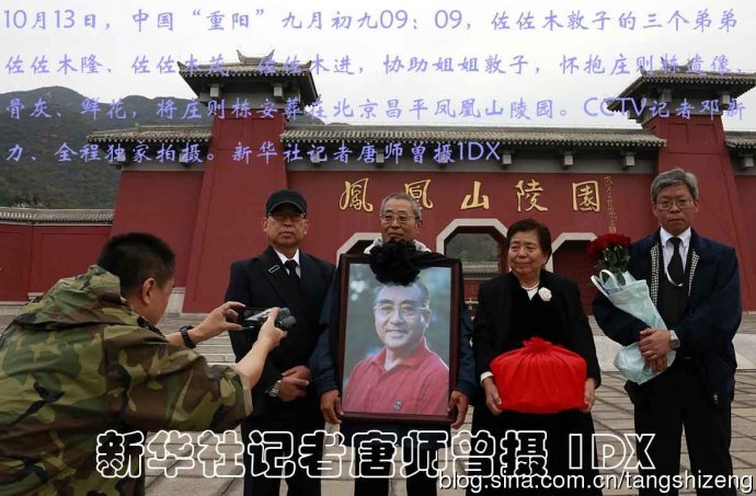 一肖出特王中王選，深度解析與SEO優(yōu)化策略，一肖出特王中王選，深度解析及SEO優(yōu)化策略全攻略