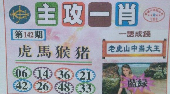 王中王100期期一肖——揭秘彩票秘密，探尋生肖玄機，揭秘彩票生肖玄機，王中王100期期一肖探秘