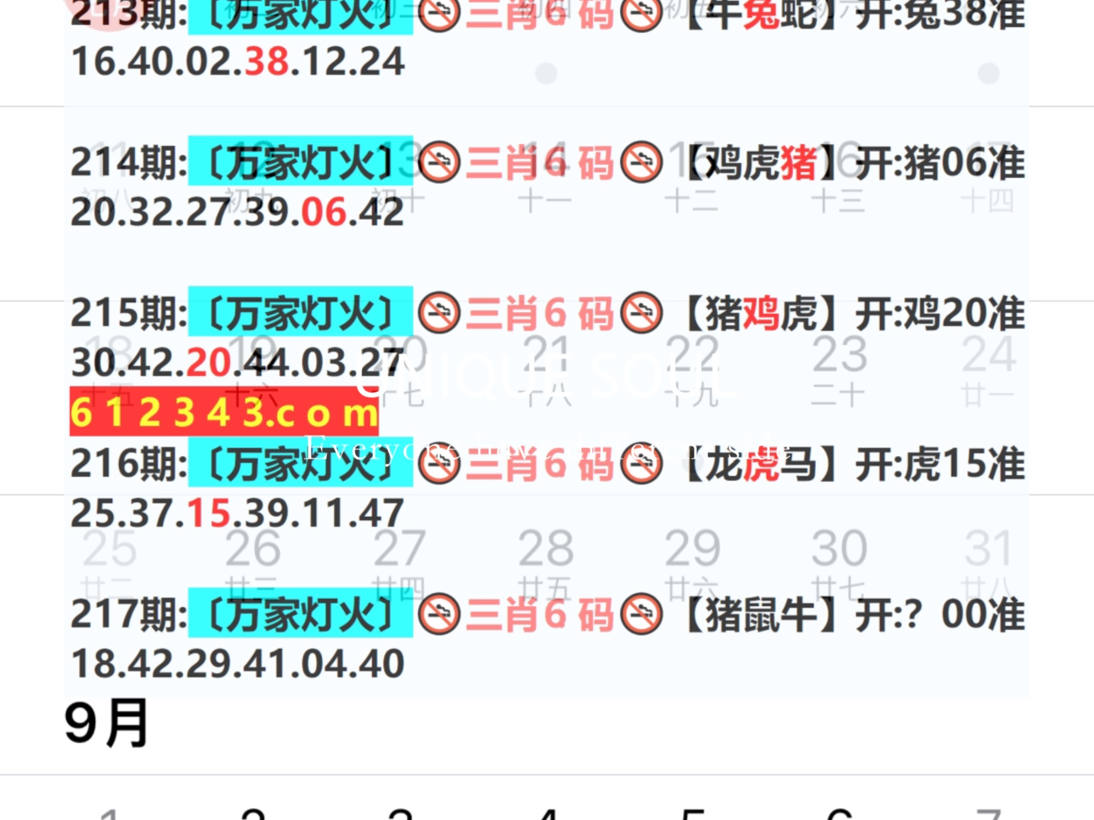 新奧門期期免費(fèi)資料，探索與揭秘，新奧門期期免費(fèi)資料揭秘探索之旅