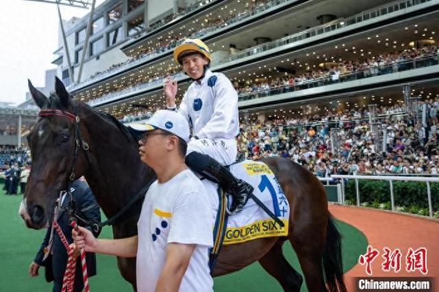 香港特馬王資料免費公開，揭秘背后的秘密，香港特馬王資料揭秘，免費公開背后的秘密