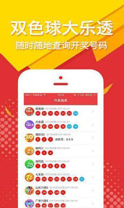 王中王四肖一碼，揭秘背后的秘密與SEO優(yōu)化策略，揭秘王中王四肖一碼背后的秘密與SEO優(yōu)化策略