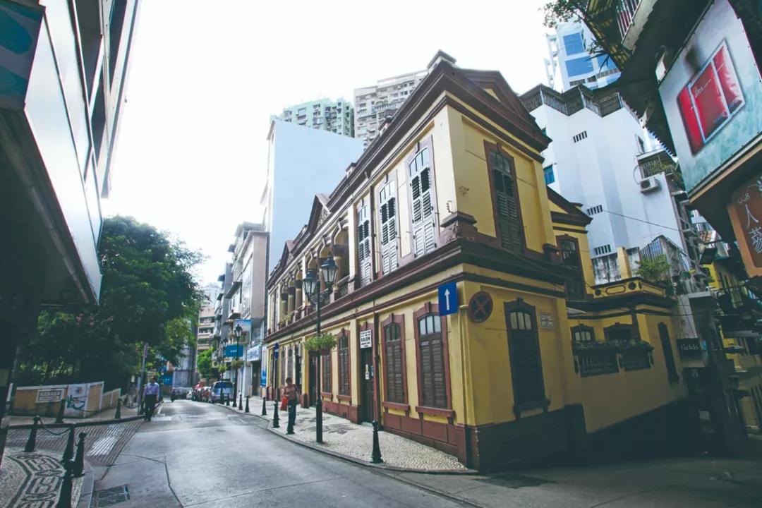 澳門一肖必開一肖，揭秘背后的秘密與策略，澳門生肖彩票背后的秘密與策略揭秘