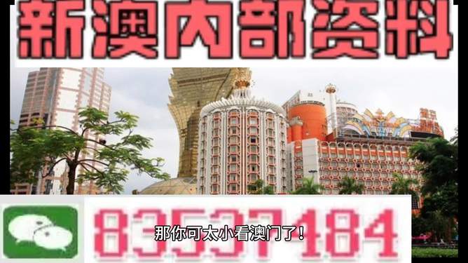 新澳門資料大全免費，探索澳門的文化與魅力，澳門文化與魅力大全，免費新澳門資料探索之旅