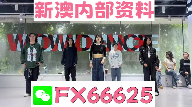 管家婆一肖資料大全，深度解析與探索，管家婆一肖資料深度解析與探索大全