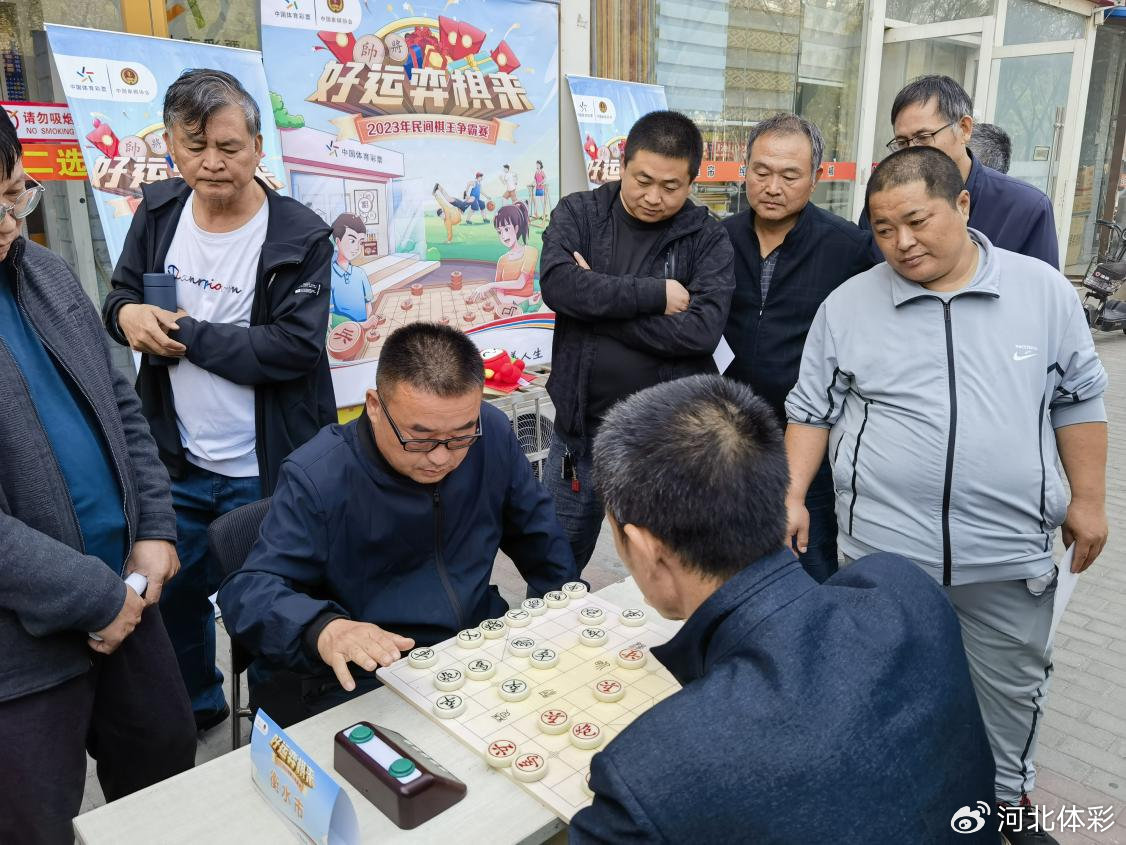 王中王平特一肖心水論沄，深度解析與探索，王中王平特一肖心水論沄，深度解析與探索之旅
