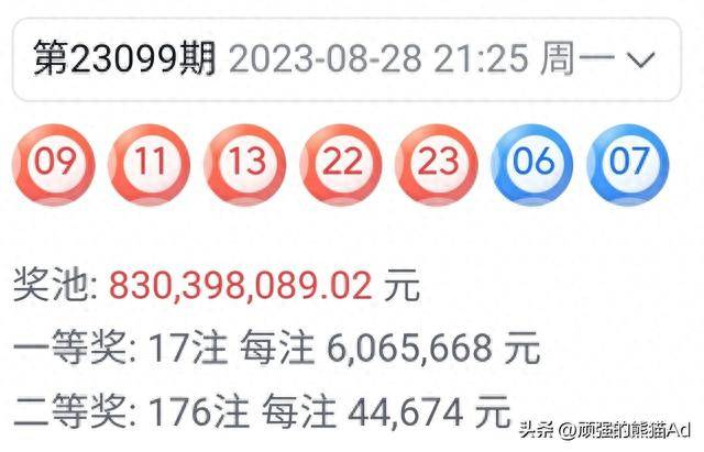 王中王100期期準(zhǔn)一肖，揭秘彩票背后的秘密，揭秘彩票背后的秘密，王中王精準(zhǔn)預(yù)測(cè)一肖一碼