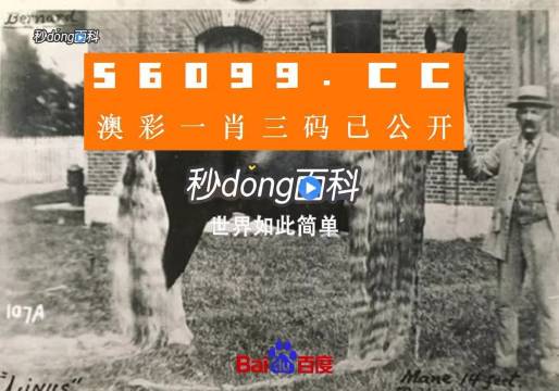 王中王心水平特一肖論壇
