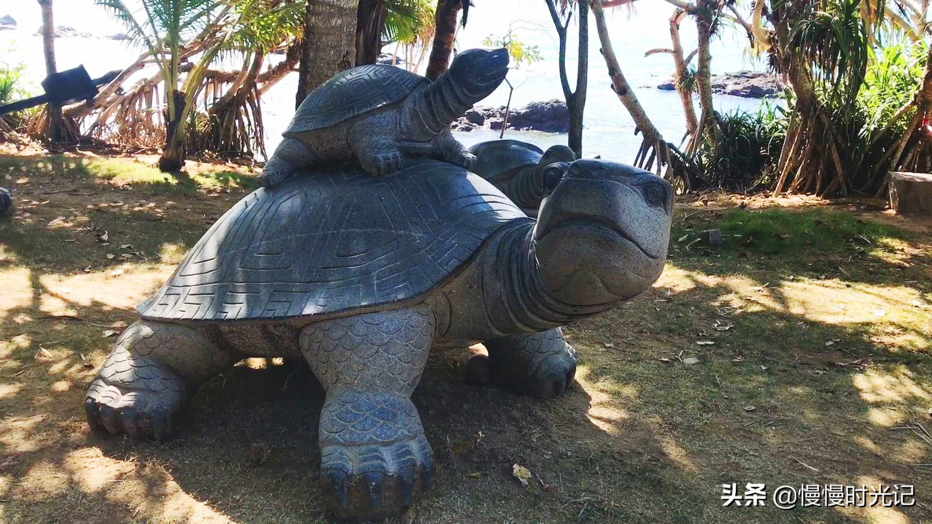 澳門一肖中精準(zhǔn)預(yù)測，揭秘彩票背后的秘密與海南特區(qū)號的獨(dú)特魅力，澳門一肖精準(zhǔn)預(yù)測揭秘彩票秘密與海南特區(qū)號的魅力