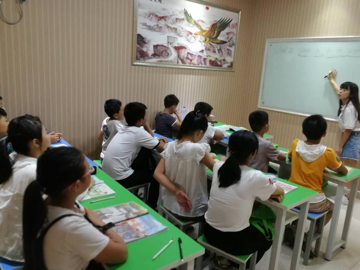 一肖最準期期中特大全，揭秘生肖運勢預測真相與技巧，揭秘生肖運勢預測真相與技巧，一肖最準期期中特大全解析