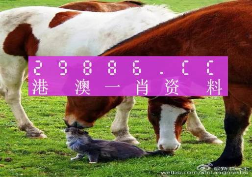 新奧門一肖一碼，揭秘精準(zhǔn)預(yù)測(cè)的秘密，揭秘新澳門一肖一碼精準(zhǔn)預(yù)測(cè)的秘密