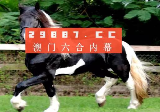 一肖一馬王中王一馬中特