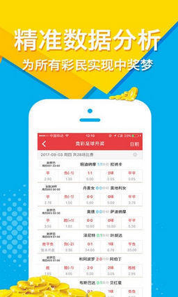 王中王平特一肖圖正版，探索正版優(yōu)勢與SEO優(yōu)化策略，王中王平特一肖圖正版優(yōu)勢探索及SEO優(yōu)化策略揭秘