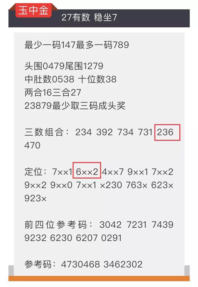 王中王一肖中特4487，揭秘背后的故事與奧秘，揭秘王中王一肖中特4487背后的故事與奧秘