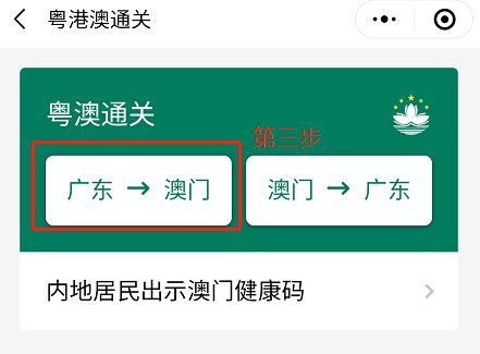 澳門碼資料，探索與解析，澳門碼資料解析與探索