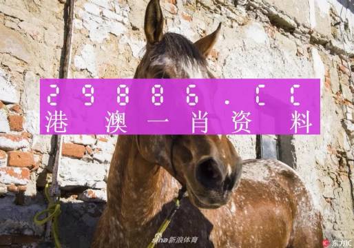 王中王一肖中特馬，探尋背后的秘密與奧秘，揭秘王中王一肖中特馬背后的秘密與奧秘