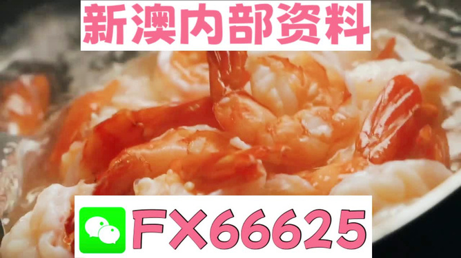 王中王一肖碼，深度解析與SEO優(yōu)化策略，王中王一肖碼深度解析與SEO優(yōu)化策略指南