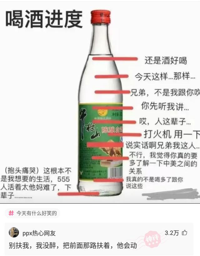 探索王中王三肖料，深度分析與預(yù)測(cè)，王中王三肖料深度分析與預(yù)測(cè)探索