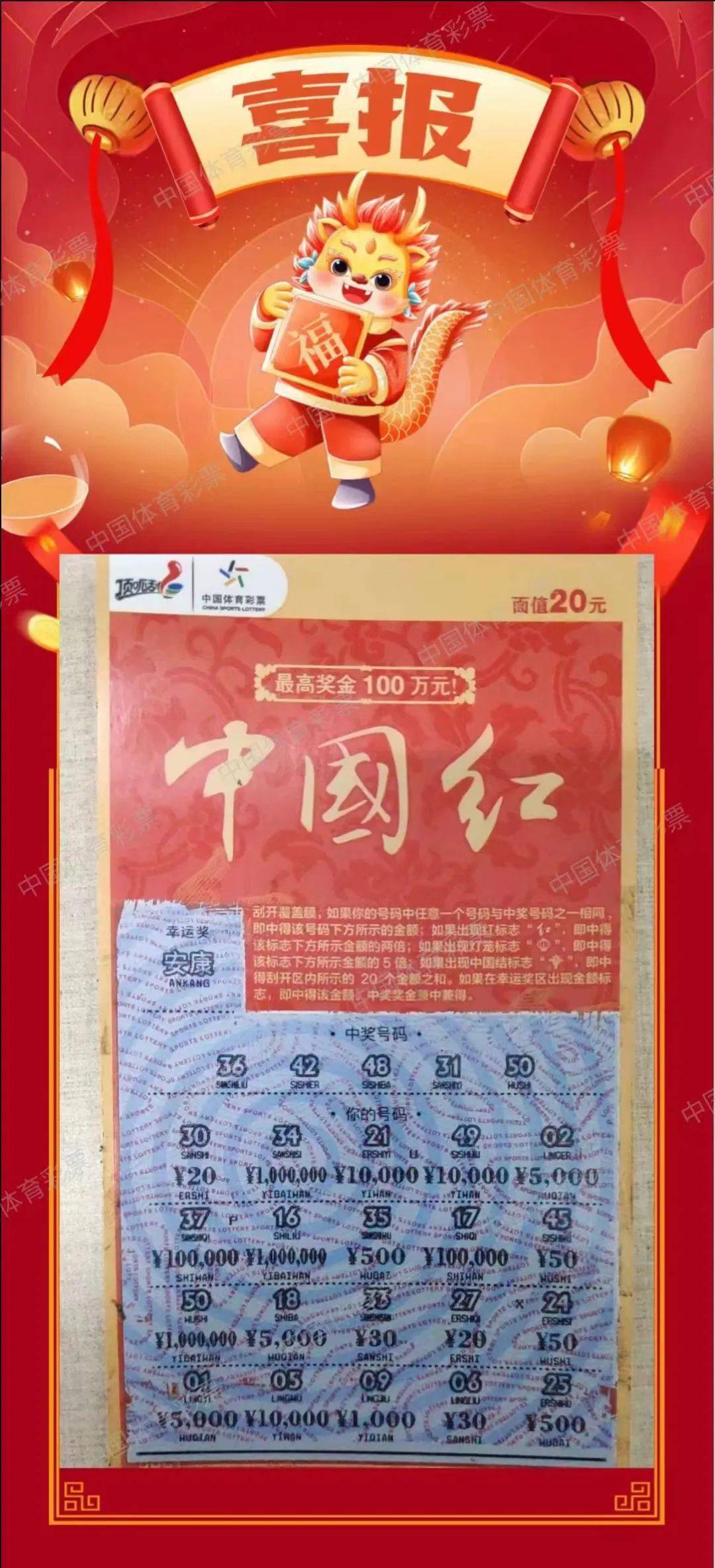 紅燈籠平特一肖王中王，揭秘背后的故事與SEO策略，紅燈籠平特一肖王中王背后的故事與SEO策略揭秘