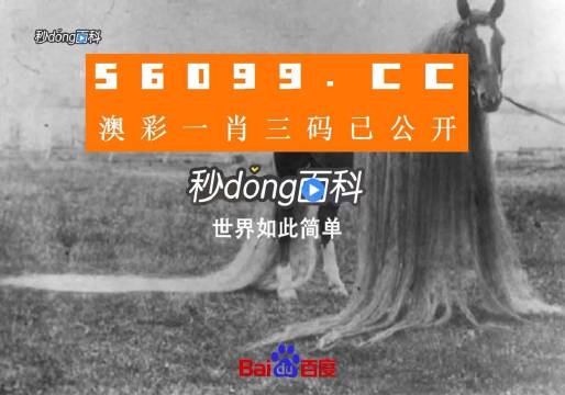 澳門一肖一碼一必中一肖舟山，揭秘彩票背后的秘密與策略，揭秘彩票背后的秘密與策略，澳門一肖一碼一必中一肖舟山探討彩票投注技巧