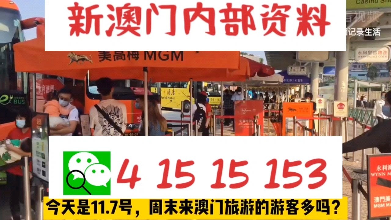 澳門內(nèi)部三肖三碼中特，揭秘彩票背后的秘密，澳門彩票揭秘，三肖三碼中特背后的秘密探究