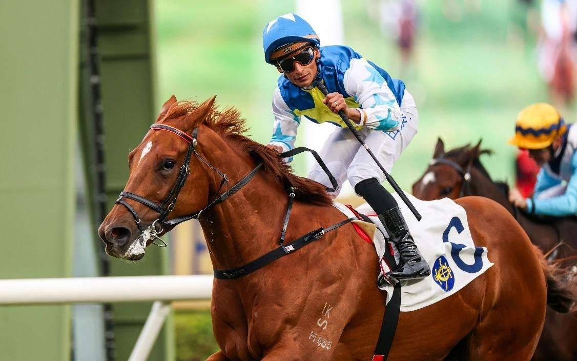 關(guān)于香港今晚開特馬的分析與預(yù)測(cè)（2023年視角），香港今晚特馬分析與預(yù)測(cè)（2023年最新視角）